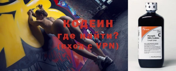 эйфоретик Гусь-Хрустальный