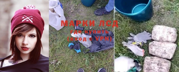 прущие грибы Абинск