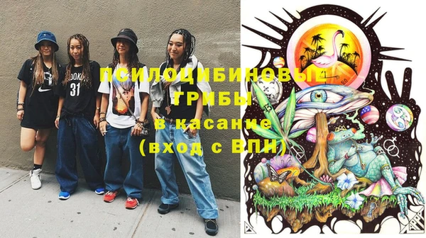стаф Абдулино