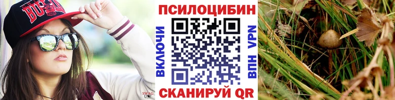 Псилоцибиновые грибы мицелий omg маркетплейс Сухой Лог